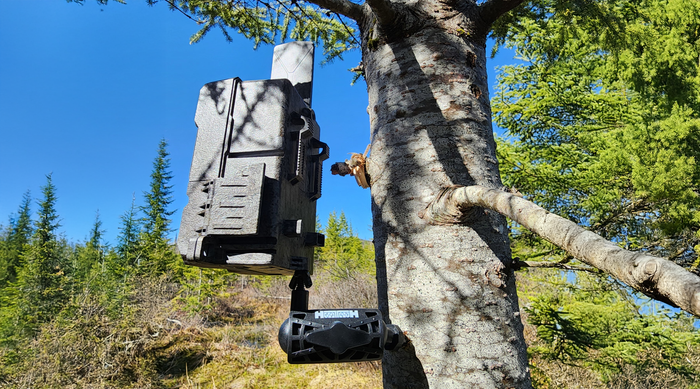 Adjustable camera screw mount