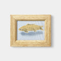 [ART] CARP | KAGA YUZEN | J.Flavor * HIROYUKI KIKUTA