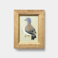[ART] PIGEONS | KAGA YUZEN | J.Flavor * HIROYUKI KIKUTA