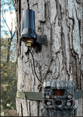 Browning Trail Camera