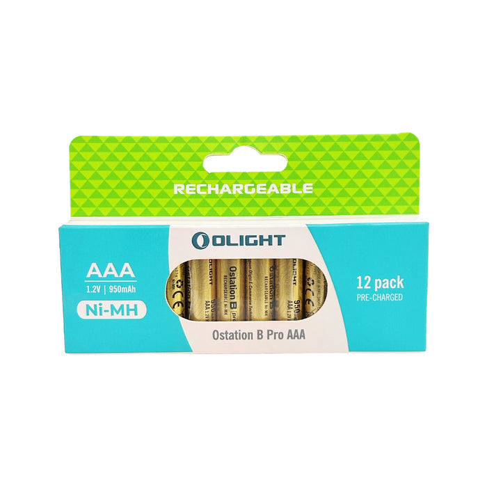 ,#Choose Option_AAA Battery 950mAh 12pcs/pack