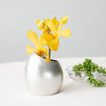 [VASE] MAYU COCOON VASE | CASTING | NOUSAKU